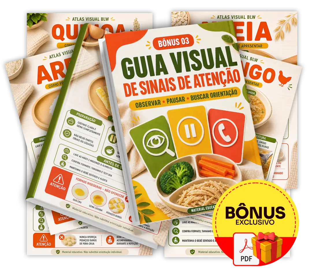 Bônus 3 — Guia Visual de Sinais de Atenção